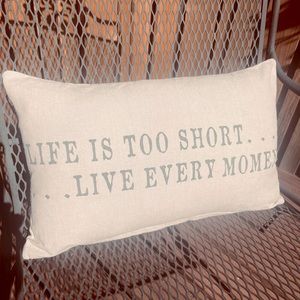 ❗️SALE❗️NWOT Goose down decorative pillow